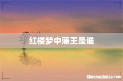 红楼梦中藩王是谁