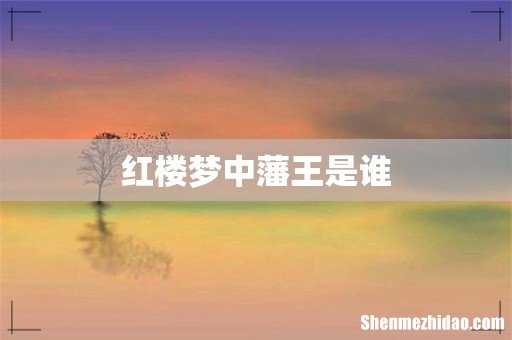 红楼梦中藩王是谁