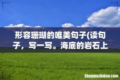 读句子，写一写。海底的岩石上长着各种各样的珊瑚，有的像绽开的花朵，有的像分枝的鹿角