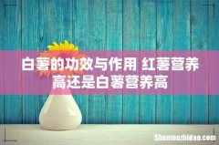 白薯的功效与作用 红薯营养高还是白薯营养高