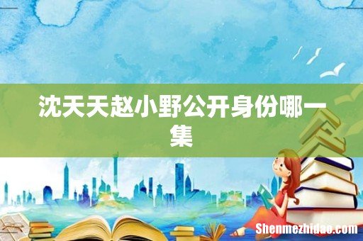 沈天天赵小野公开身份哪一集