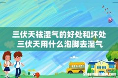 三伏天祛湿气的好处和坏处 三伏天用什么泡脚去湿气