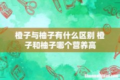 橙子与柚子有什么区别 橙子和柚子哪个营养高