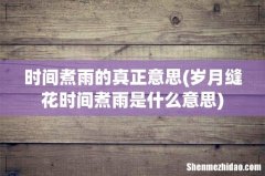 岁月缝花时间煮雨是什么意思 时间煮雨的真正意思
