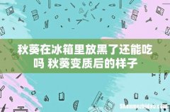 秋葵在冰箱里放黑了还能吃吗 秋葵变质后的样子