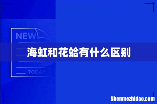 海虹和花蛤有什么区别