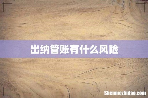 出纳管账有什么风险