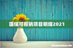 医保可报销项目明细2021