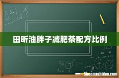 田昕油胖子减肥茶配方比例