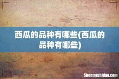西瓜的品种有哪些 西瓜的品种有哪些