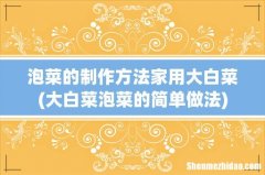大白菜泡菜的简单做法 泡菜的制作方法家用大白菜