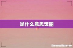 是什么意思饭圈