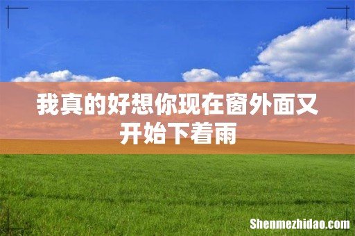 我真的好想你现在窗外面又开始下着雨