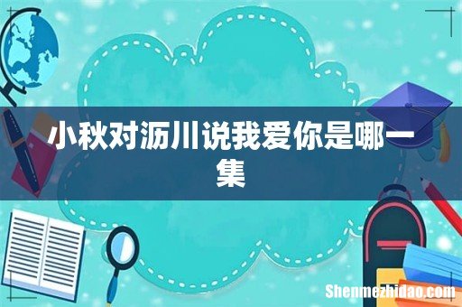 小秋对沥川说我爱你是哪一集
