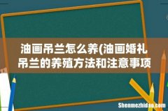 油画婚礼吊兰的养殖方法和注意事项 油画吊兰怎么养