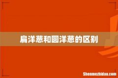 扁洋葱和圆洋葱的区别