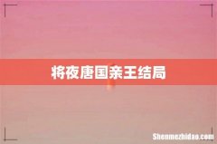 将夜唐国亲王结局