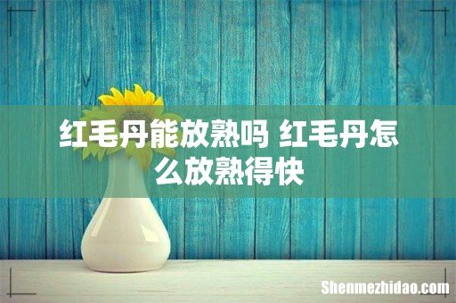 红毛丹能放熟吗 红毛丹怎么放熟得快
