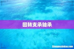 回转支承轴承