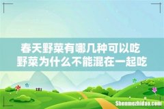 春天野菜有哪几种可以吃 野菜为什么不能混在一起吃