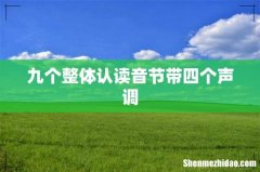 九个整体认读音节带四个声调