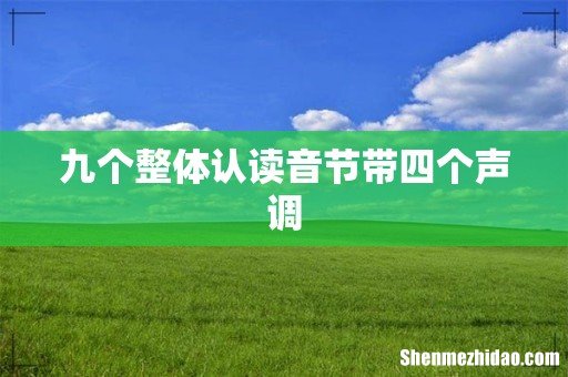 九个整体认读音节带四个声调