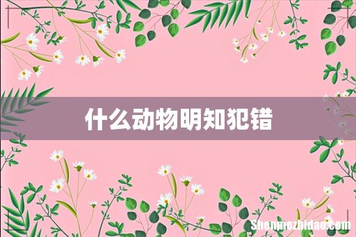 什么动物明知犯错