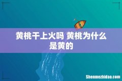 黄桃干上火吗 黄桃为什么是黄的