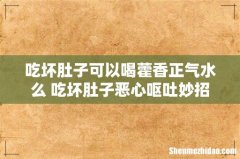 吃坏肚子可以喝藿香正气水么 吃坏肚子恶心呕吐妙招