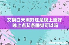 艾条白天熏好还是晚上熏好 晚上点艾条睡觉可以吗
