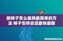 脆柿子怎么催熟最简单的方法 柿子怎样去涩最快最甜