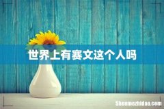 世界上有赛文这个人吗