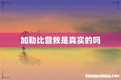 加勒比营救是真实的吗