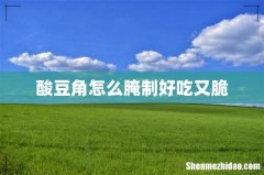 酸豆角怎么腌制好吃又脆
