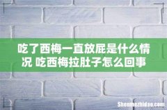 吃了西梅一直放屁是什么情况 吃西梅拉肚子怎么回事