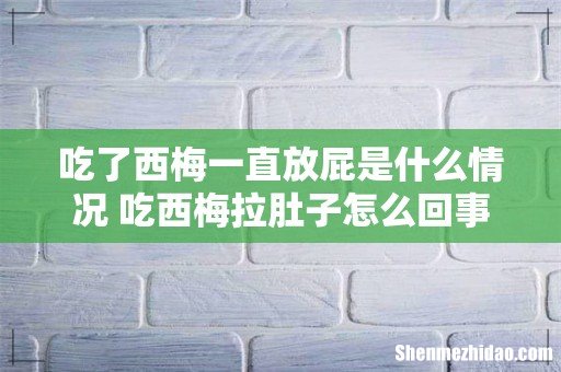 吃了西梅一直放屁是什么情况 吃西梅拉肚子怎么回事