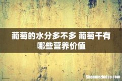 葡萄的水分多不多 葡萄干有哪些营养价值