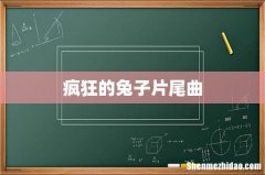 疯狂的兔子片尾曲