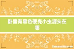 卧室有黑色硬壳小虫源头在哪