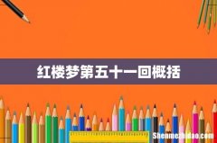 红楼梦第五十一回概括