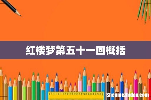 红楼梦第五十一回概括