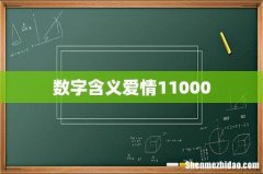 数字含义爱情11000