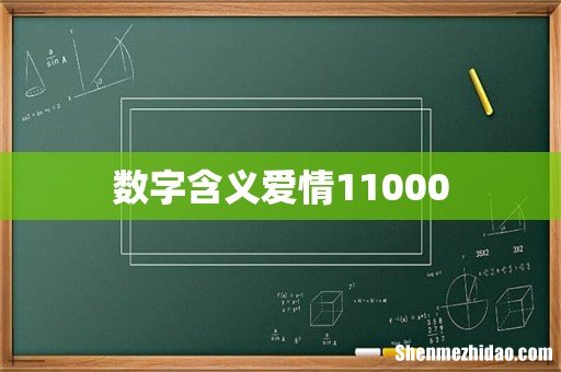 数字含义爱情11000