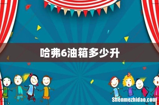 哈弗6油箱多少升