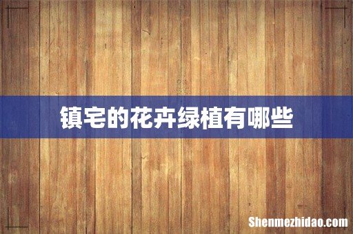 镇宅的花卉绿植有哪些