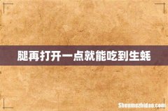 腿再打开一点就能吃到生蚝