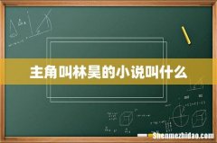 主角叫林昊的小说叫什么