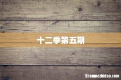 十二季第五期