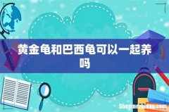 黄金龟和巴西龟可以一起养吗