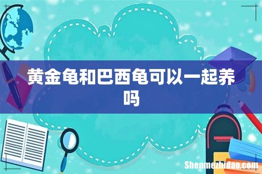 黄金龟和巴西龟可以一起养吗